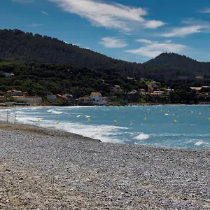 Rainette , Saint-Cyr-sur-Mer France